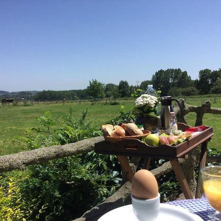 B&B Belvedere Brakel Dış mekan fotoğraf